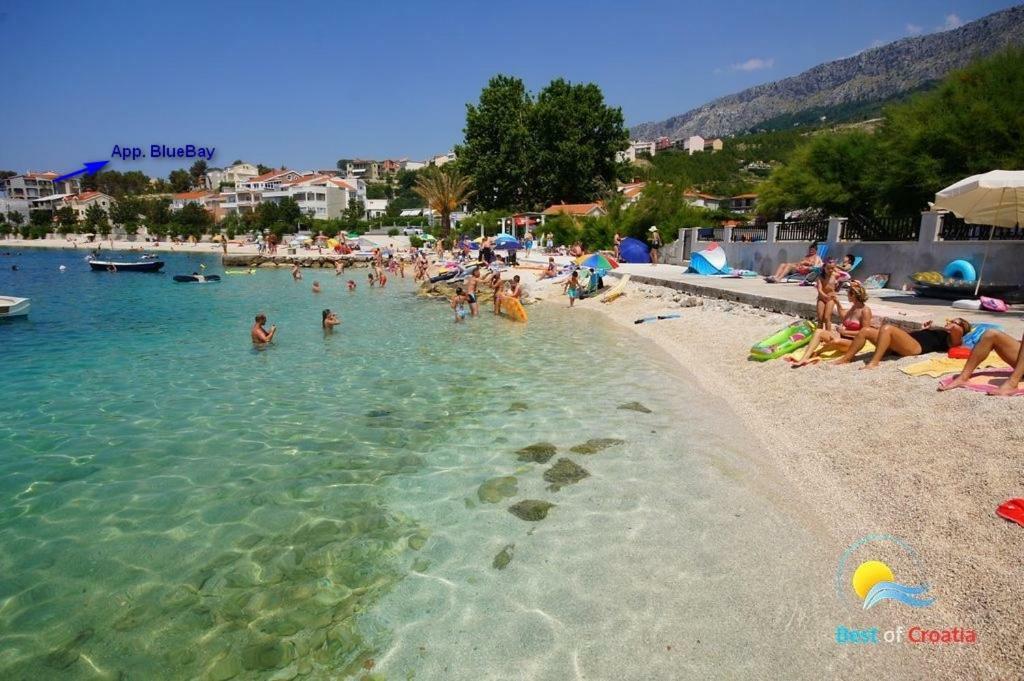 Bluebay